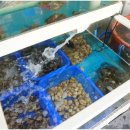 한마리 횟집 이미지