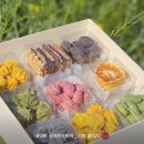 꽃다지 맞은편 네이버블로그