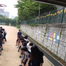 소안초등학교1 Daum카페