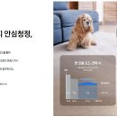 펫큐브 이미지