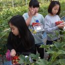 포승농장 이미지