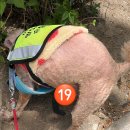 박문삼거리 이미지