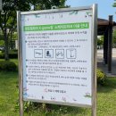 동탄센트럴파크 인라인스케이트장 | 동탄센트럴파크 인라인스케이트장