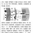 동공이 위치하는 방향 이미지