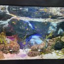 인천하정초등학교 이미지