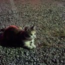 (주)우국 | 구월