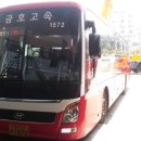 수원-1572 이미지