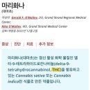 지영슈퍼 - 서귀포시 한창로 1 | 지영슈퍼