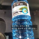 금당카센타