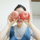 빛고운농원