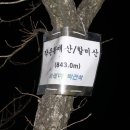 작은황매산(할미산) Daum카페