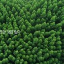 태양광고 네이버블로그