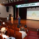 에버그린 이미지