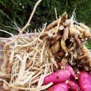 자연의선물 이미지