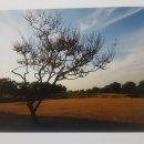 신행정사사무소 이미지