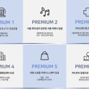 더큐브 이미지