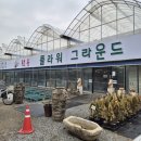 선유유통