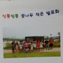 능소화꿈나무 Daum카페