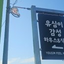유심이감성