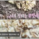 경신농장 이미지