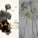 신비너스 이미지