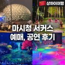 고덕하나로마트 | 상하이 마시청 서커스 예약 방법 입장료 가격 A석 시야 후기