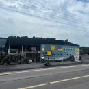 하도락 | [제주여행 day 1] 제주동쪽 구좌 감성숙소 &#39;하도락&#39;펜션 옆집 후기, 펜션사장님 추천 카페&#39;한라산...