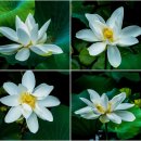 봉담호수공원 이미지