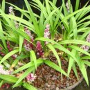 길상초등학교 이미지