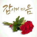 신세계꽃집