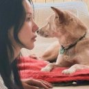 평화슈퍼 이미지