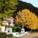 율전초 문암분교장 이미지