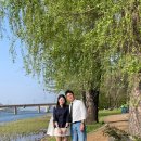 경기도 양평 카페 추천 | 두물머리 뷰 맛집 리노(rino) 재방문 후기