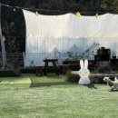 피개행개 이미지