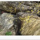 창영목장 | [스크랩] 2011년 추천 여행지