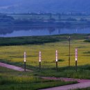 금강수변공원 숲바람장미원 이미지