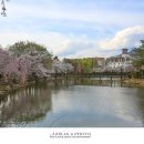 창녕 영산 만년교 이미지