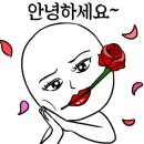 훈짱 왕만두 이미지