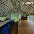 숲속의 하얀집 이미지