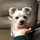 여수엑스포 부근