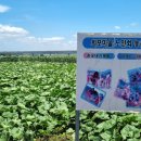 회포농장 이미지