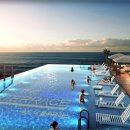 블루테라 이미지