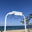 이마트24강릉동부점 | [강릉 1박 2일] 친구와 함께한 알찬 뚜벅이 여행 코스 일정 추천