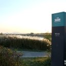 어등대교(거점터미널) 이미지