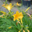 양각산장 이미지