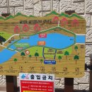 설악동 B 주차장 | [속초] 설악산 신흥사 맛집 스카이워크 설악향기로 출렁다리 속초 여행코스로 딱이야.