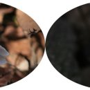 덕산복집 이미지