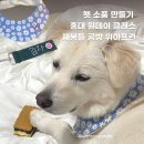 위아프런 | [홍대]재봉틀로 강쥐용품 만들기 | 위아프런 | 재봉틀 원데이 클래스 추천 - 내돈내산 후기