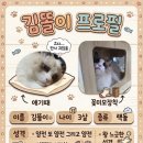 다산 고양이 미용 성공 후기 차원이 다른 교감 미용실 다산 황금산고양이 추천 (ft. 픽업, 호텔)