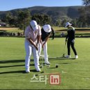 그린위드(주) 이미지